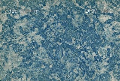 Ted Stamm: DRM 1980 - 