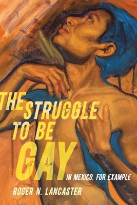 The Struggle to Be Gay&mdash;in Mexico, for Example - Roger N. Lancaster
