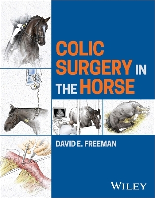 Colic Surgery in the Horse - David E. Freeman