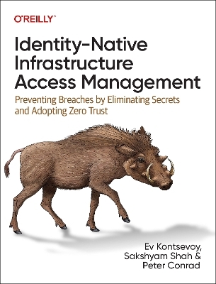 Identity-native infrastructure access management
