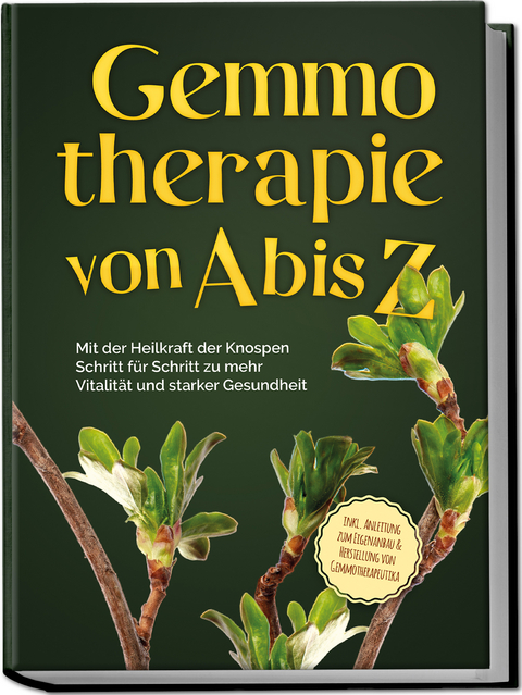 Gemmotherapie von A bis Z: Mit der Heilkraft der Knospen Schritt f&uuml;r Schritt zu mehr Vitalit&auml;t und starker Gesundheit - inkl. Anleitung zum Eigenanbau & Herstellung von Gemmotherapeutika - Karin Thiemann