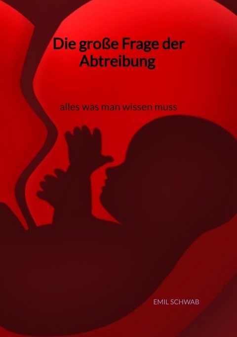 Die gro&szlig;e Frage der Abtreibung - alles was man wissen muss - Emil Schwab