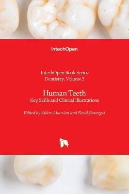 Human Teeth - 