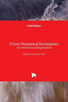 Direct Numerical Simulations