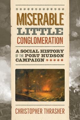 Miserable Little Conglomeration - Christopher Thrasher
