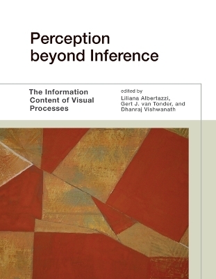 Perception beyond Inference