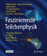 Faszinierende Teilchenphysik - Philip Bechtle, Florian Bernlochner, Herbi Dreiner, Christoph Hanhart, Josef Jochum, J&ouml;rg Pretz, Kristin Riebe