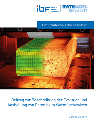 Beitrag zur Beschreibung der Evolution und Ausheilung von Porem beim Warmflachwalzen