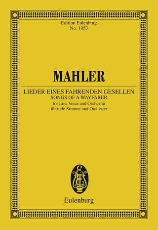 Lieder eines fahrenden Gesellen
