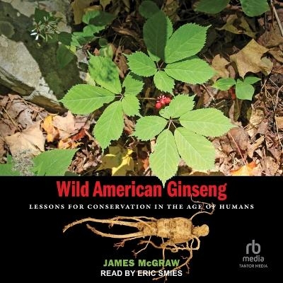 Wild American Ginseng - James McGraw