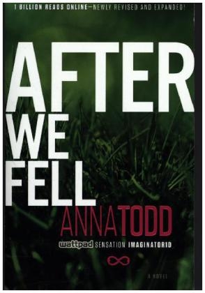 After We Fell -  Anna Todd