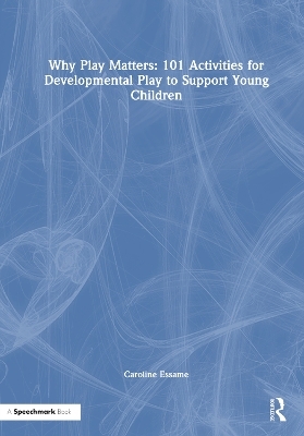 Why Play Matters: 101 Activities for Developmental Play to Support Young Children