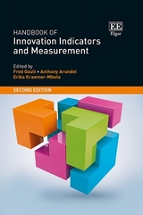Handbook of Innovation Indicators and Measurement - Gault, Fred; Arundel, Anthony; Kraemer-Mbula, Erika