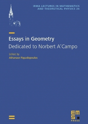 Essays in Geometry