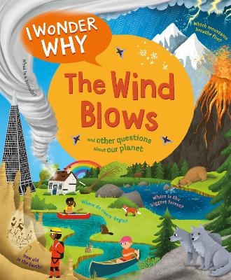 I Wonder Why The Wind Blows - Anita Ganeri