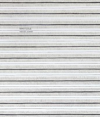 Max Cole: Endless Journey