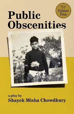 Public Obscenities - Shayok Misha Chowdhury