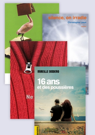 Prix des lycéens allemands 2011