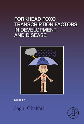 Forkhead FOXO Transcription Factors in Development and Disease
