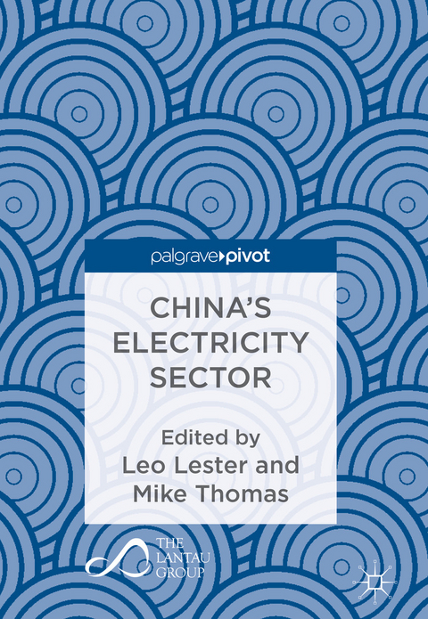 China&rsquo;s Electricity Sector - 