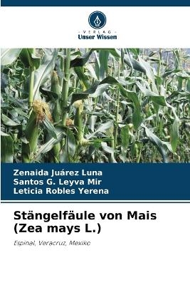 Stängelfäule von Mais (Zea mays L.)