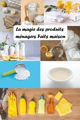 La Magie des Produits M&eacute;nagers Faits Maison -  SAURA