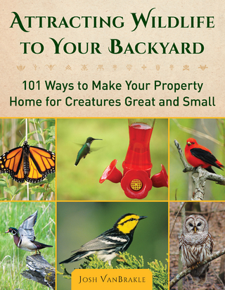 Attracting Wildlife to Your Backyard