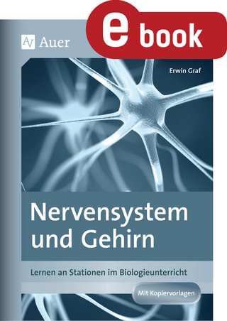 Nervensystem und Gehirn