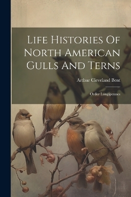 Life Histories Of North American Gulls And Terns