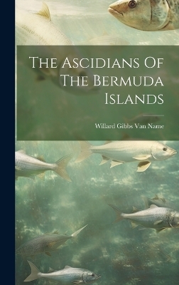 The Ascidians Of The Bermuda Islands - 
