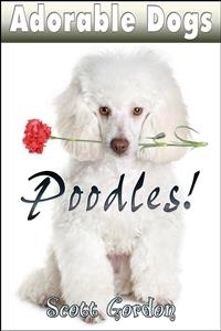 Adorable Dogs: Poodles