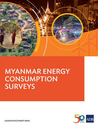 Myanmar Energy Consumption Surveys Report