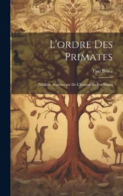 L'ordre Des Primates