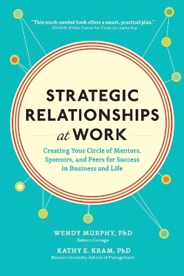 Strategic Relationships at Work (PB)