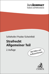 Strafrecht Allgemeiner Teil - Schlehofer, Horst; Putzke, Holm; Scheinfeld, Jörg