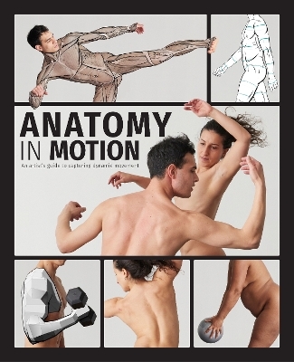 Anatomy in Motion - 