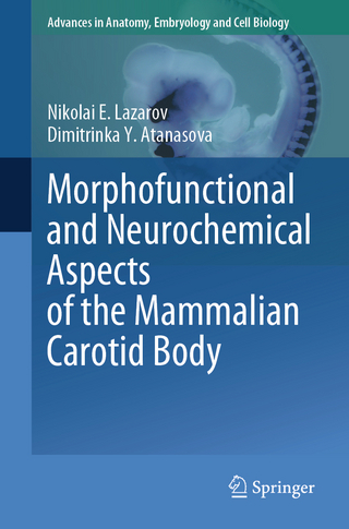 Morphofunctional and Neurochemical Aspects of the Mammalian Carotid Body