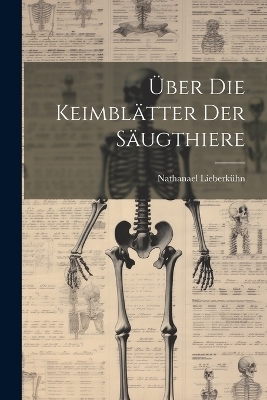 Über Die Keimblätter Der Säugthiere