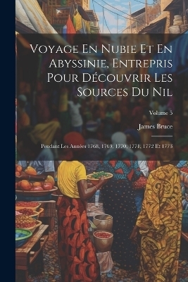 Voyage En Nubie Et En Abyssinie, Entrepris Pour Découvrir Les Sources Du Nil