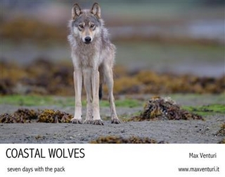 Coastal Wolves. Seven days with the pack