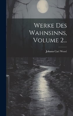 Werke Des Wahnsinns, Volume 2... - Johann Carl Wezel