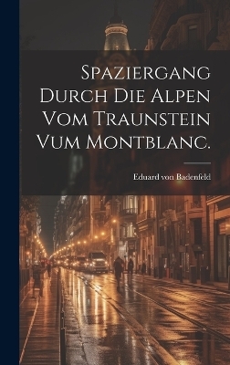 Spaziergang durch die Alpen vom Traunstein vum Montblanc. - Eduard Von Badenfeld
