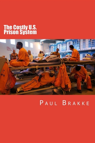 The Costly U. S. Prison System