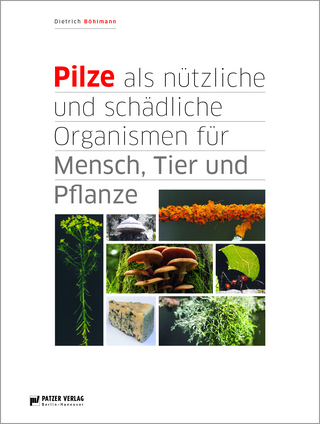 Pilze als nützliche und schädliche Organismen für Mensch. Tier und Pflanze