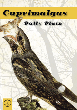 Caprimulgus