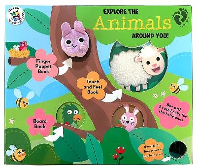 Explore the Animals Around You (Curious Baby) - Louise Buckens