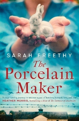 The Porcelain Maker - Sarah Freethy