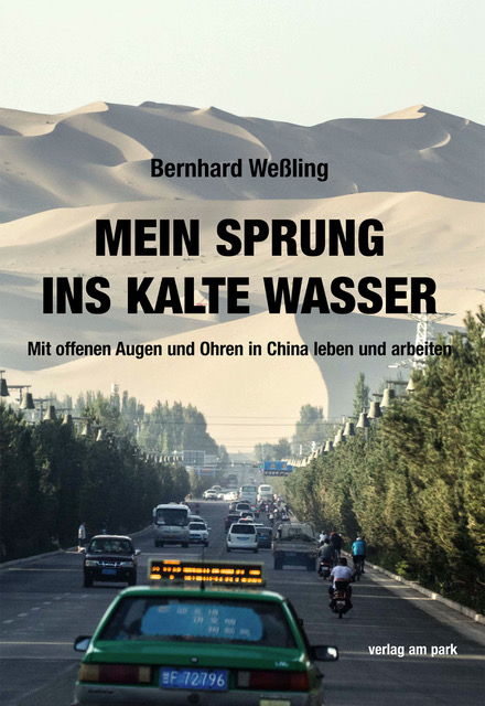 Mein Sprung ins kalte Wasser - Bernhard We&szlig;ling