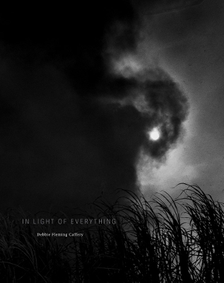 Debbie Fleming Caffery: In Light of Everything - 