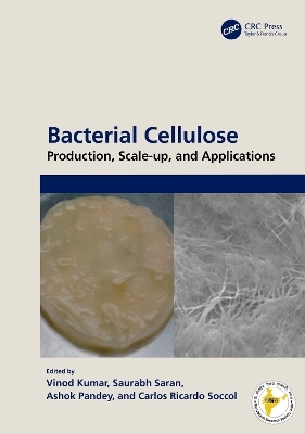 Bacterial Cellulose
